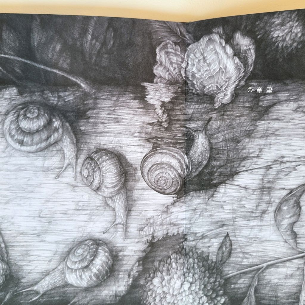 fotor-20240731205038