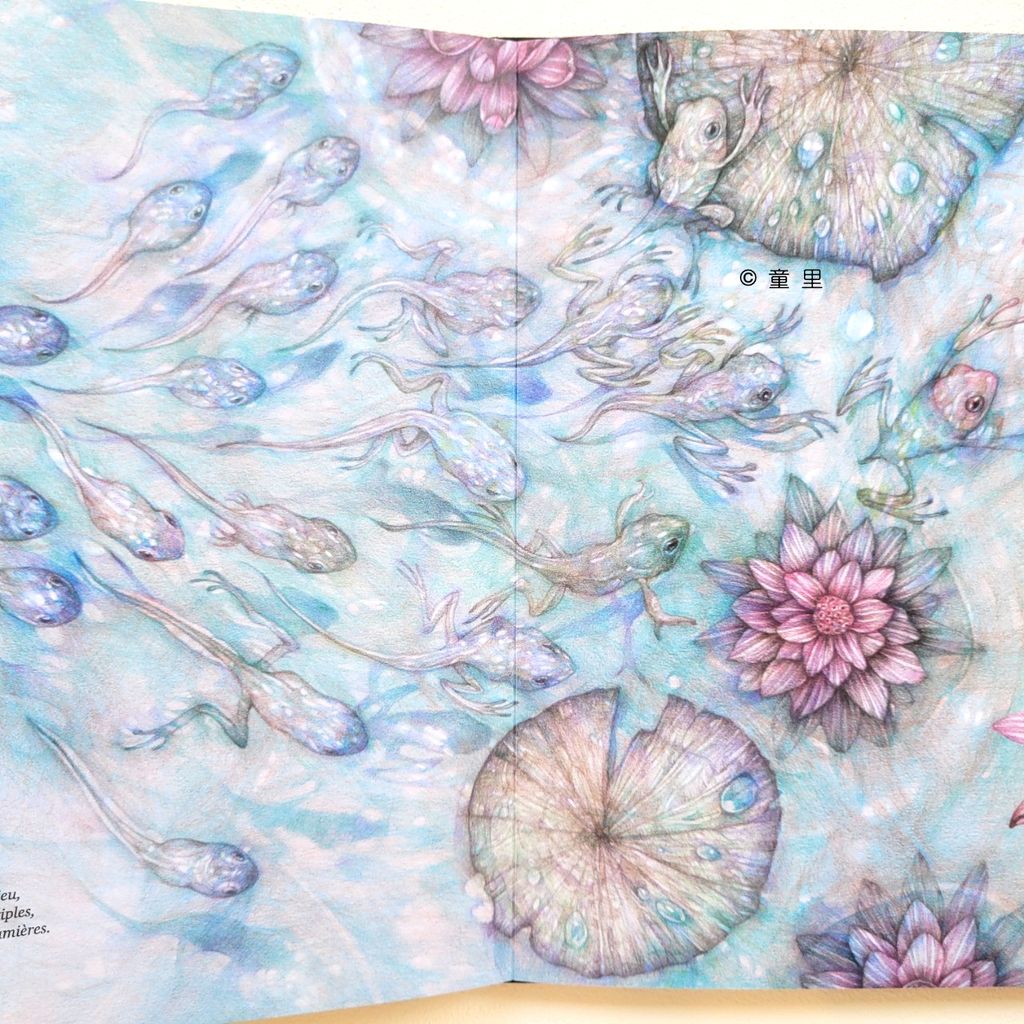 fotor-20240731204751