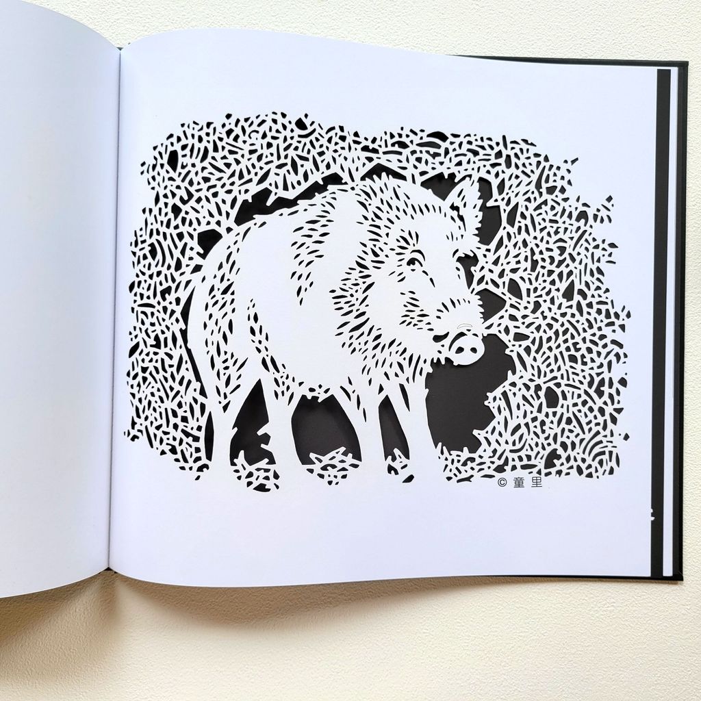 fotor-20250218151326