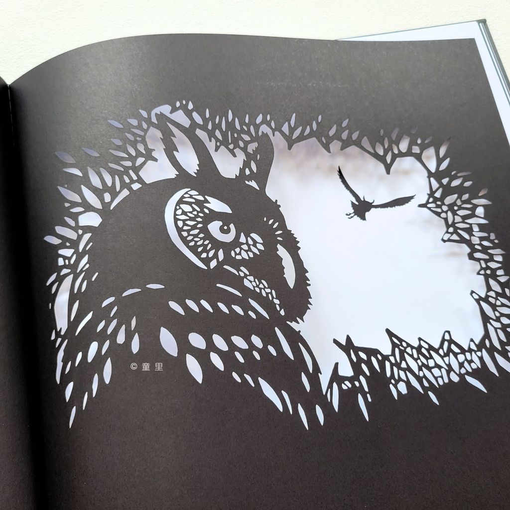 fotor-20250218151148