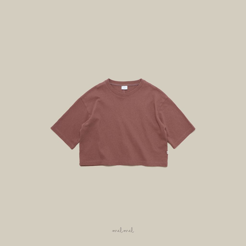 c.브릭