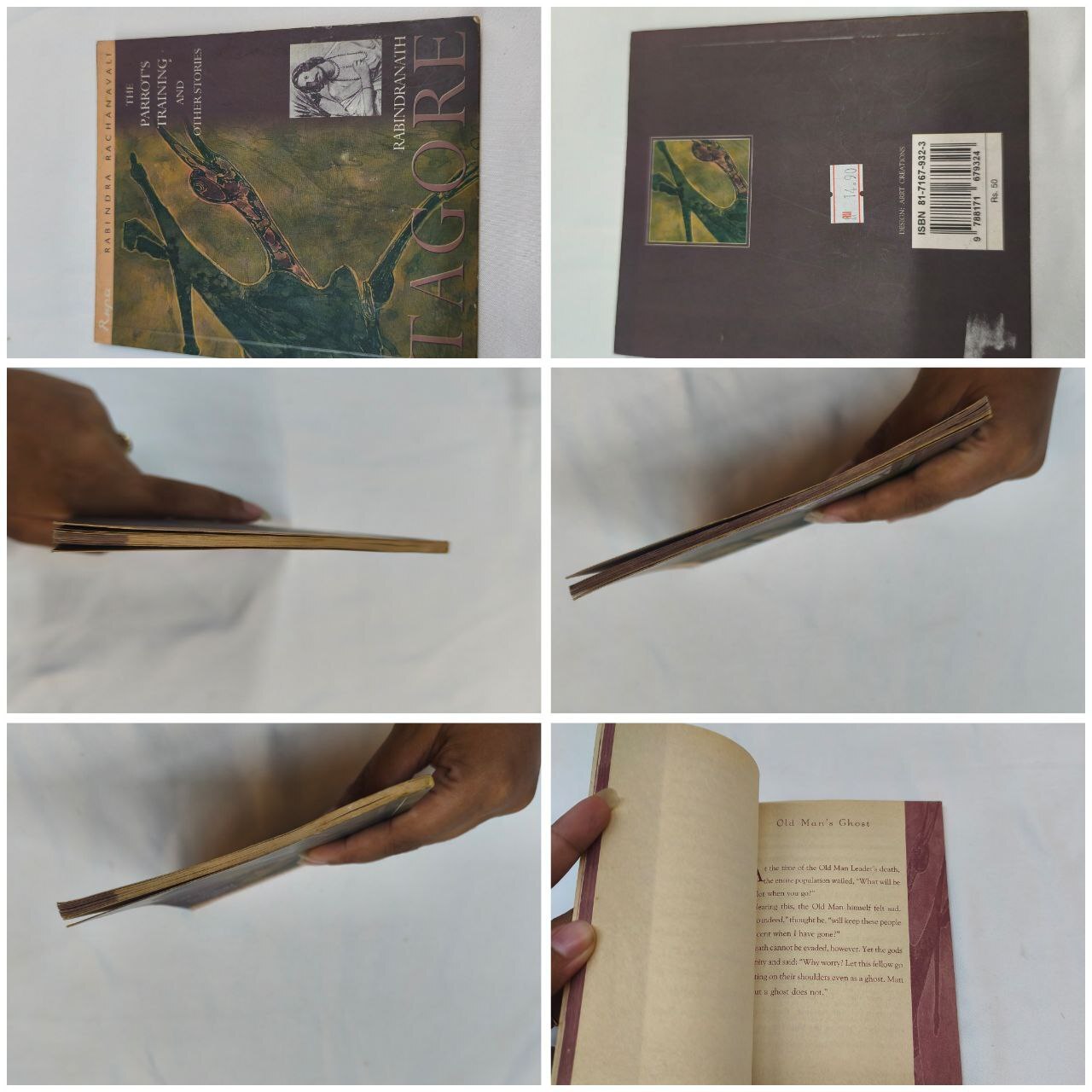 6192910346675227679_121