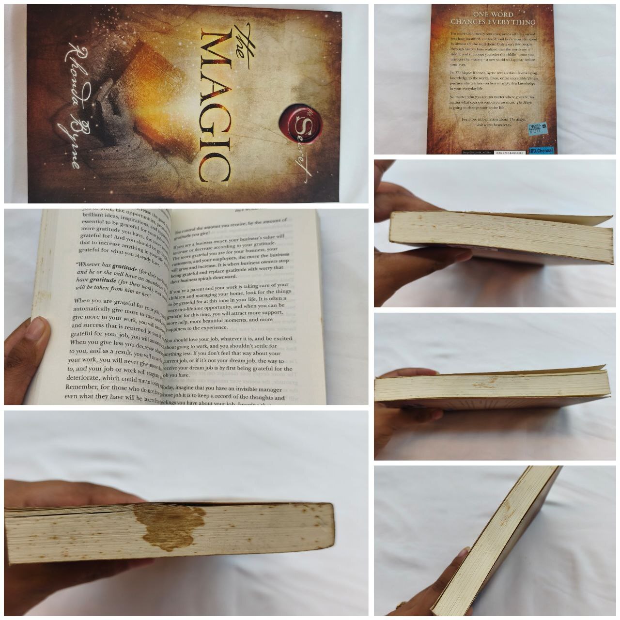 6251555161574674300_121