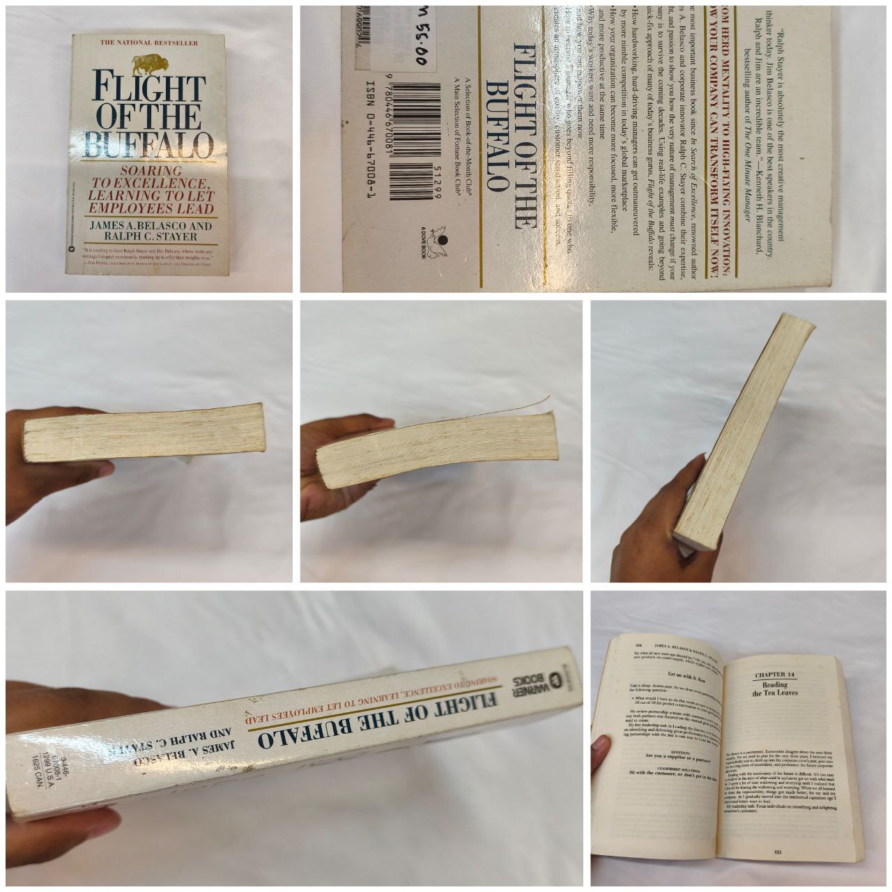 6251555161574674342_121