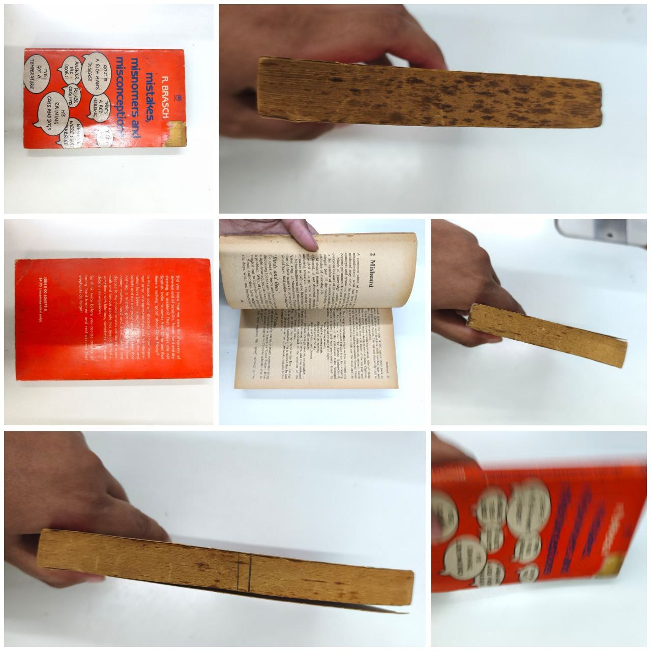 6134177197183405395_121