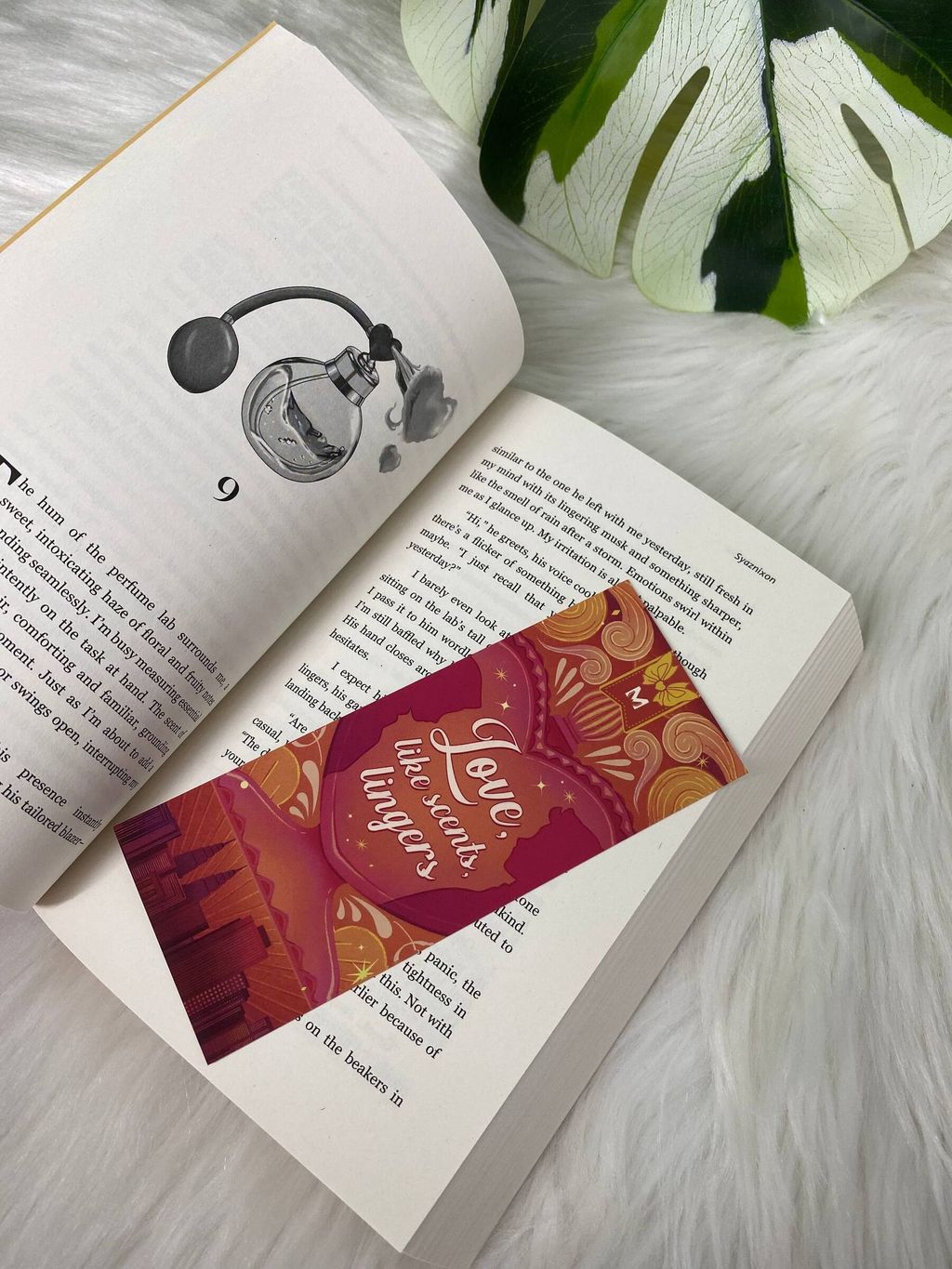 photo_2026-03-03_08-47-56