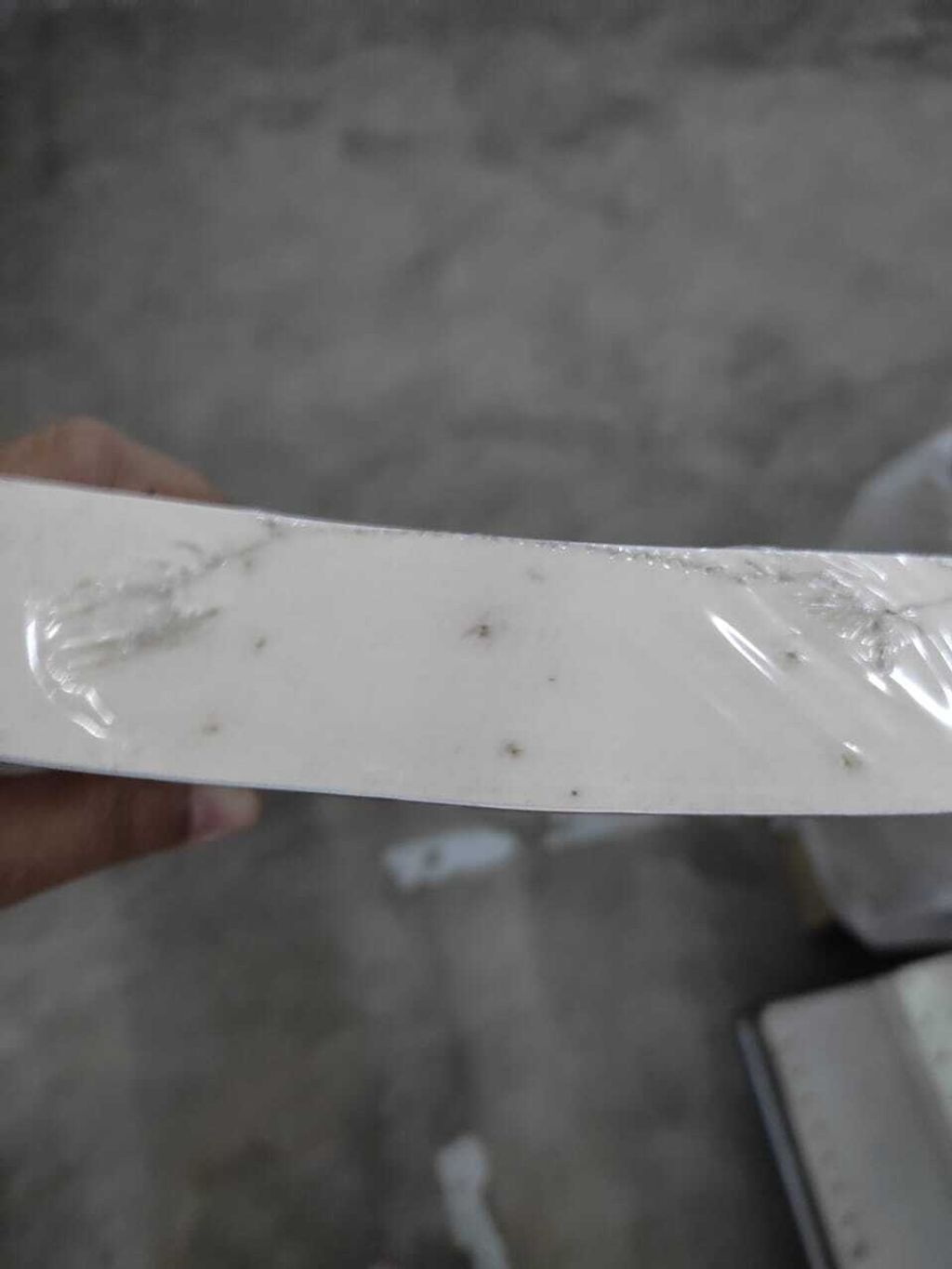 WhatsApp Image 2026-03-18 at 1.17.11 PM (1)