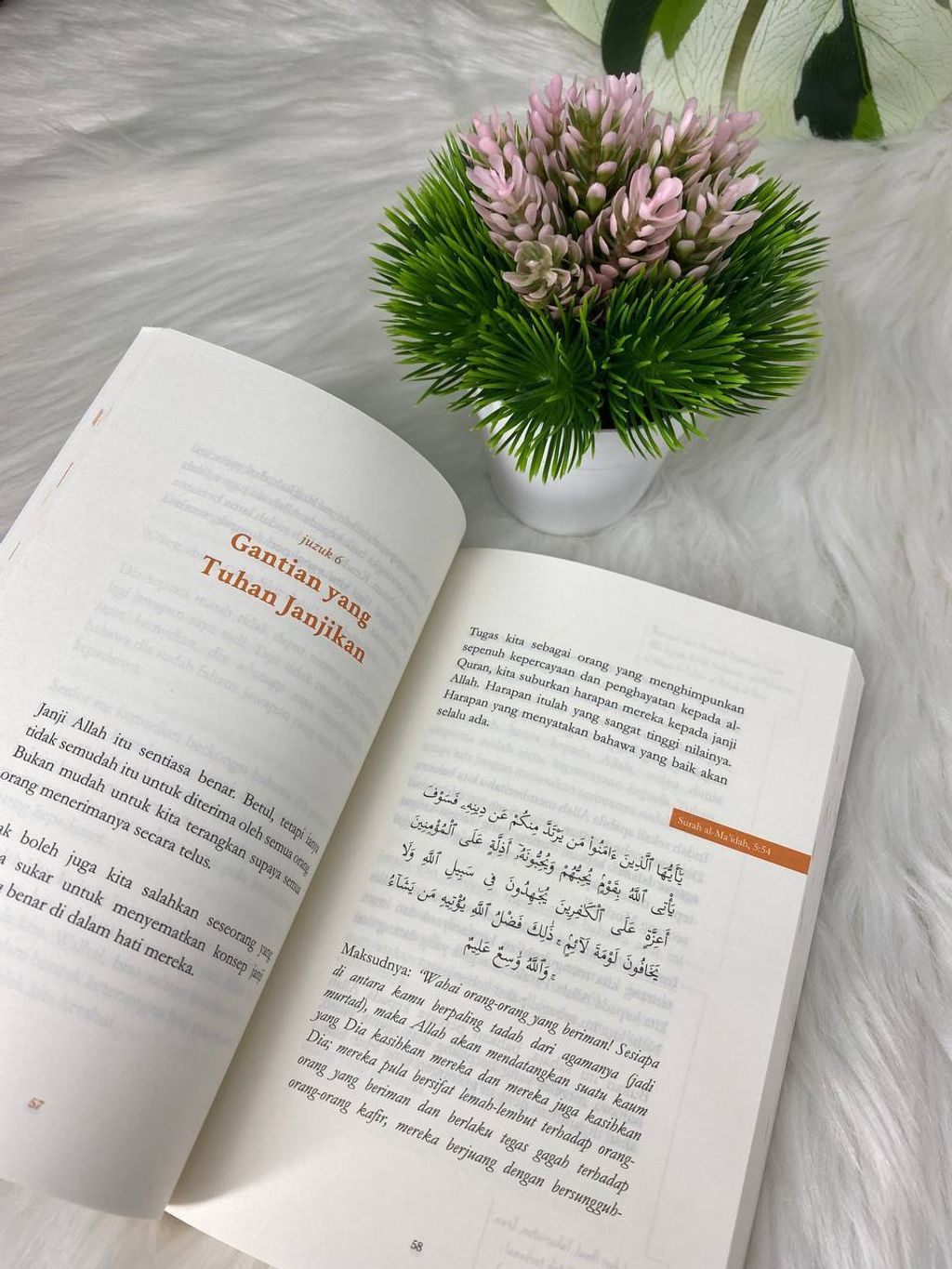 photo_2026-03-16_09-22-28 (2)