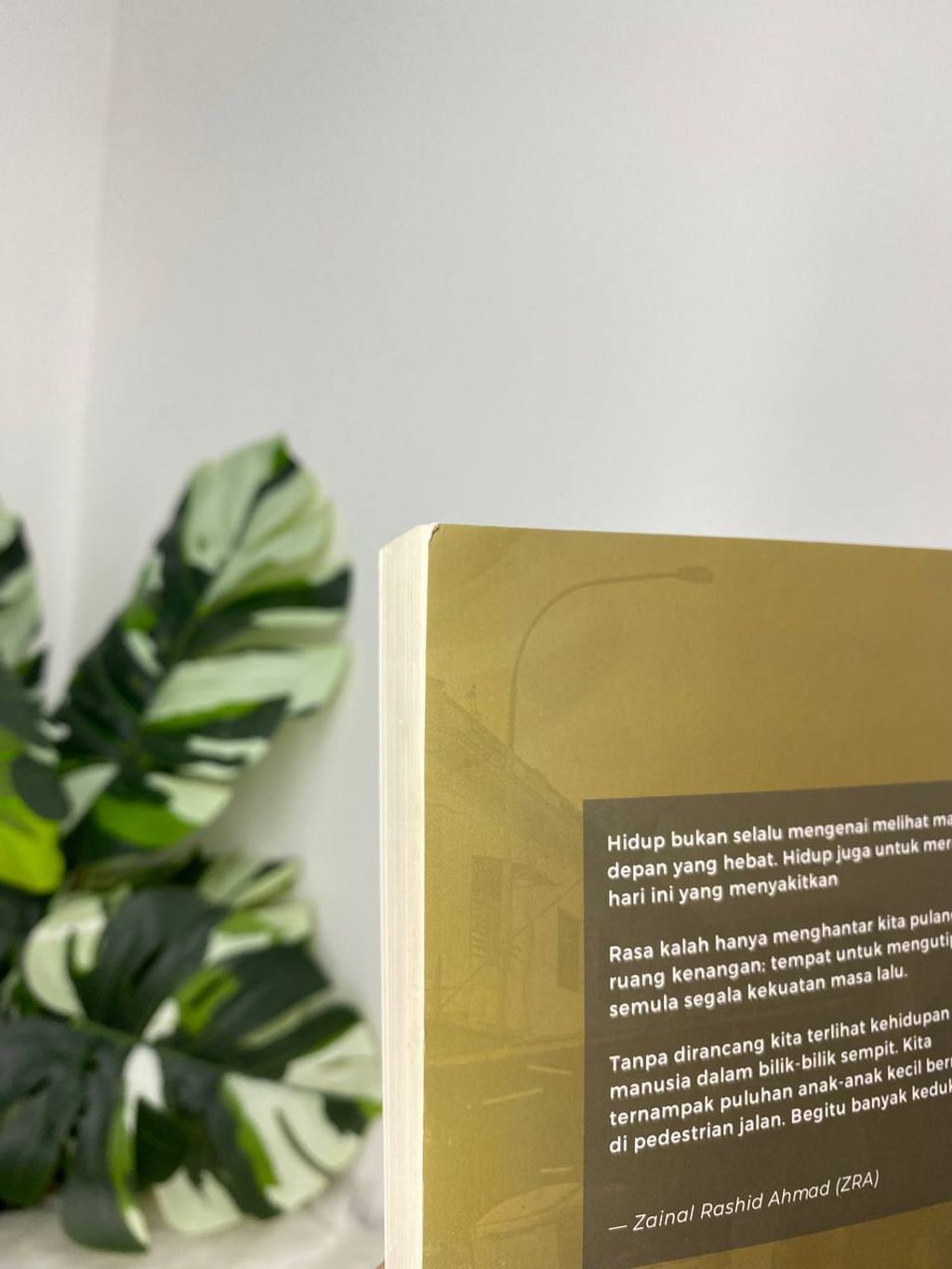 photo_2026-03-31_09-18-48