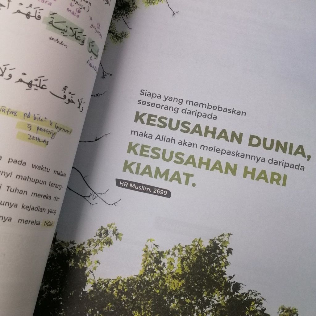 photo_2024-07-11_16-20-37