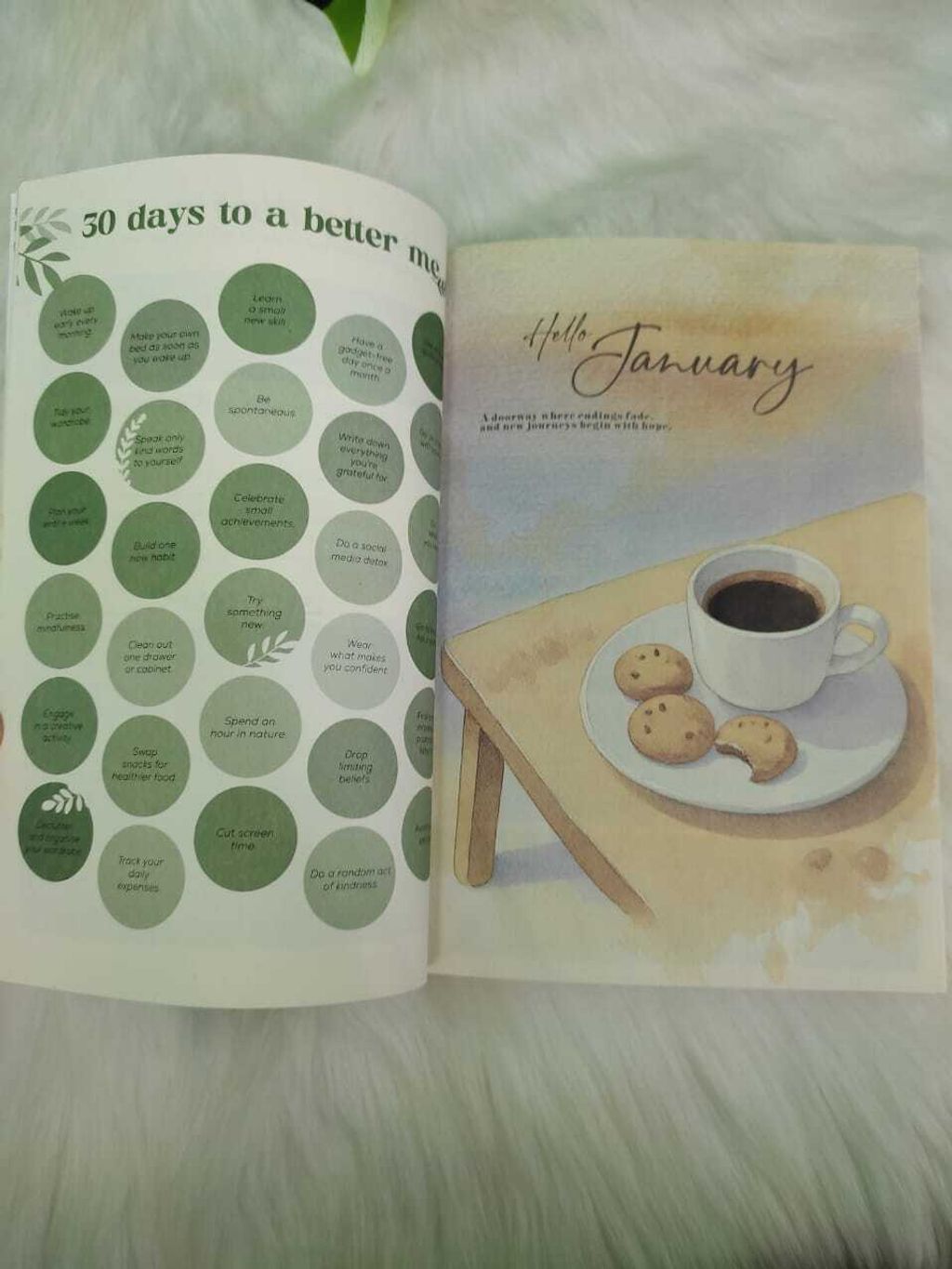 WhatsApp Image 2025-11-24 at 12.36.57 PM (1)