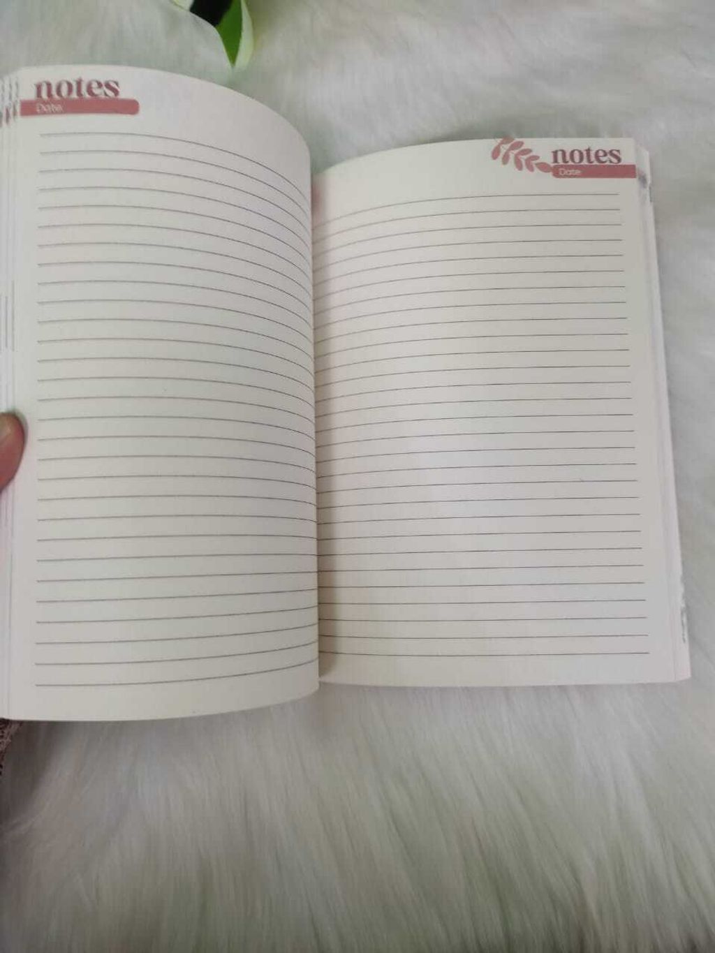 WhatsApp Image 2025-11-24 at 12.36.57 PM