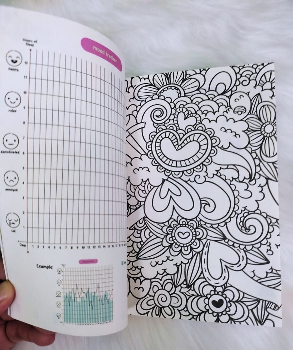 WhatsApp Image 2025-11-24 at 12.36.55 PM