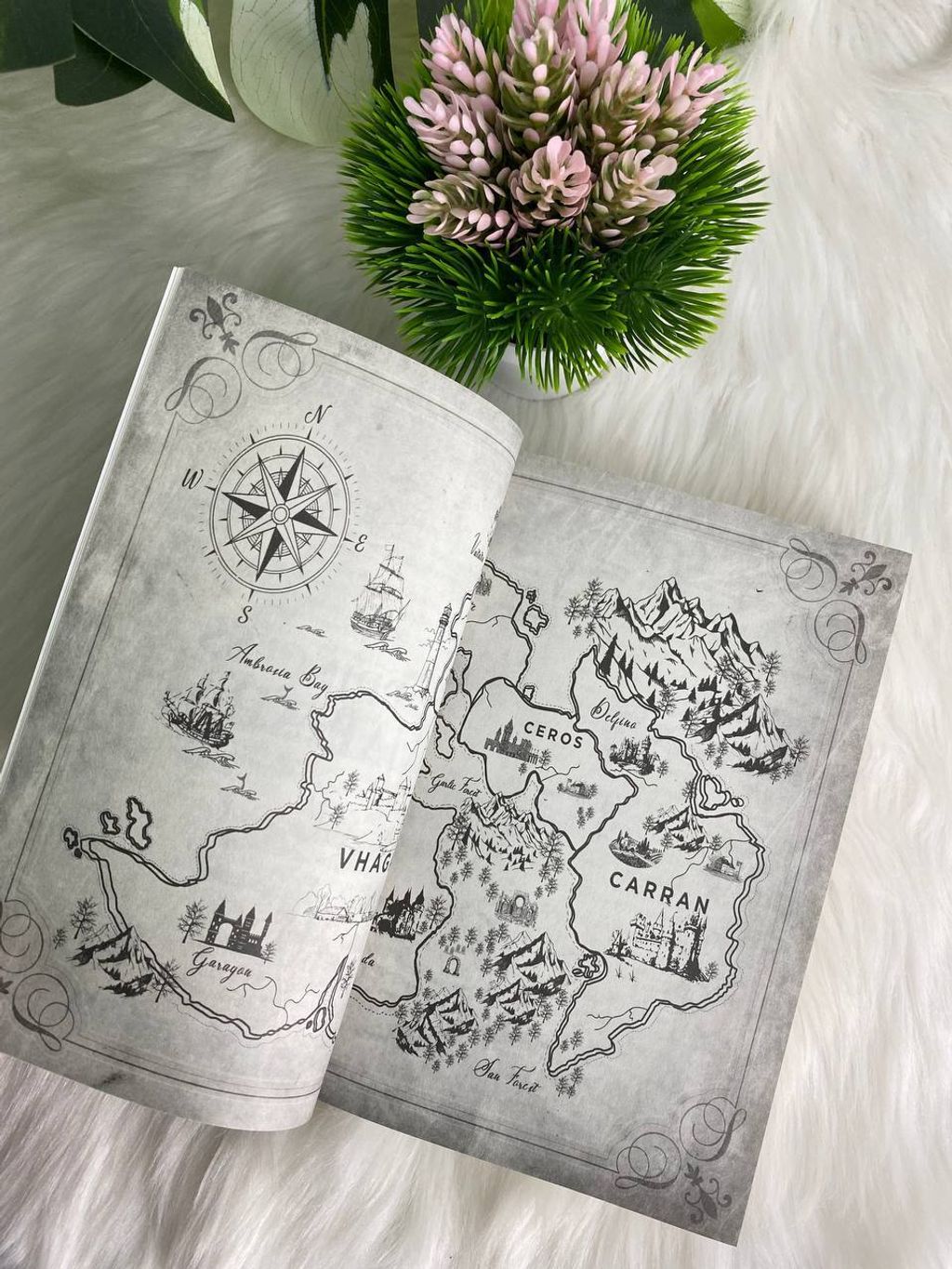 photo_6109695557178691221_y