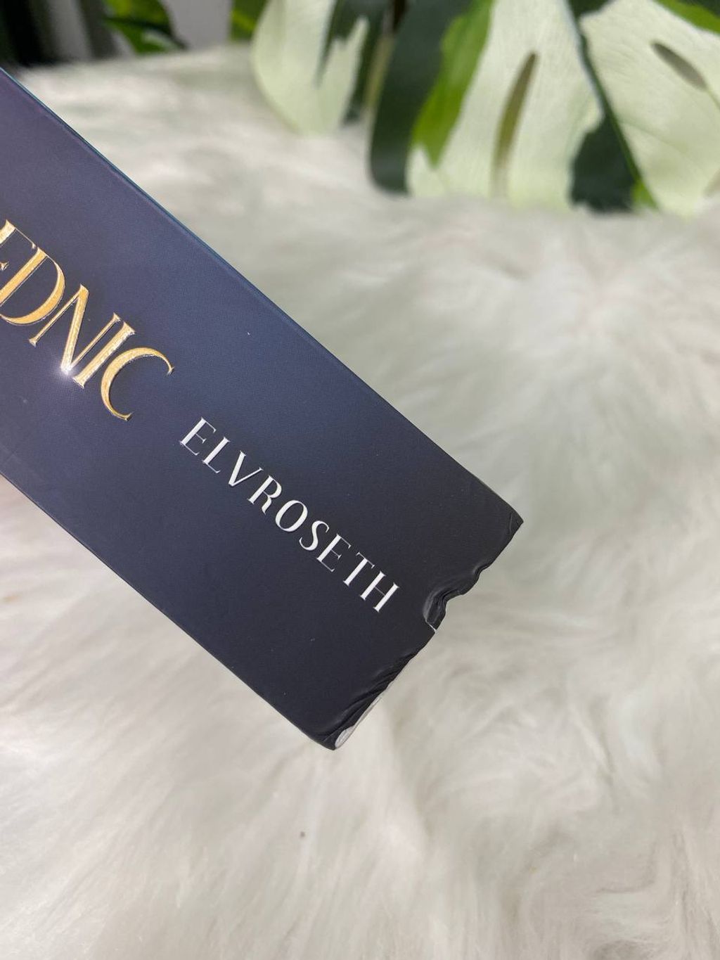 photo_2026-02-28_08-41-30