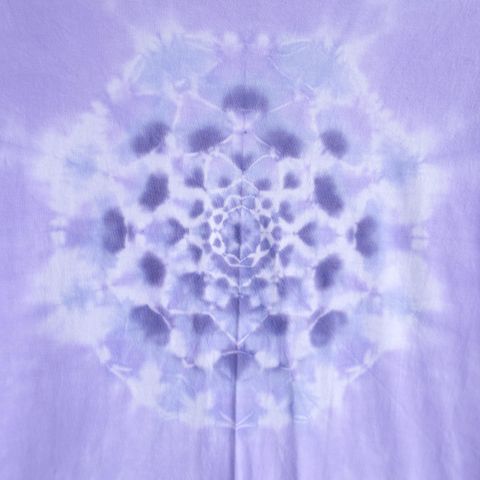 淡紫曼陀羅 4-2.jpg