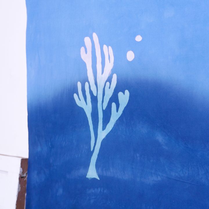 P1500627.jpg