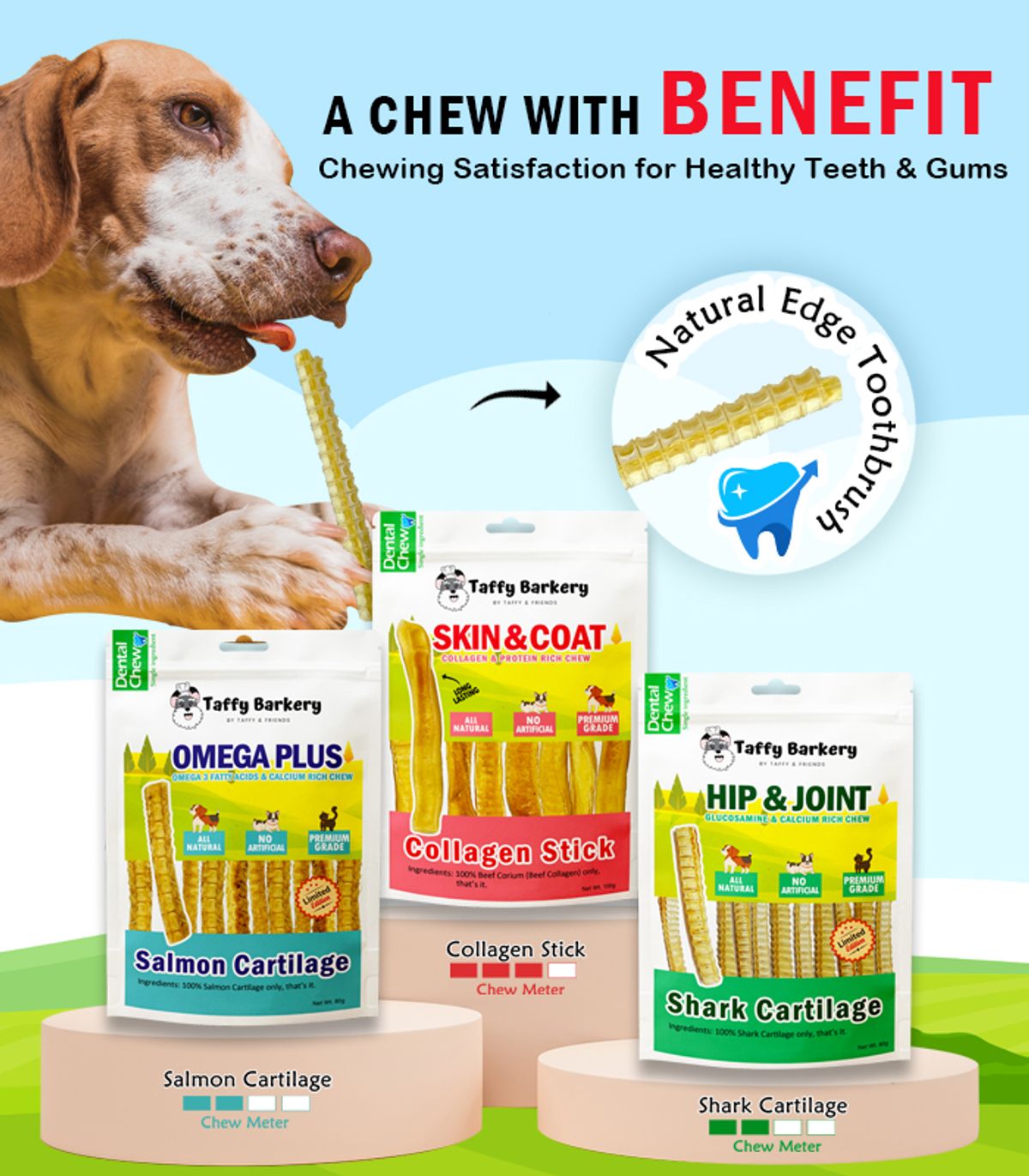 TAFFY BARKERY | 