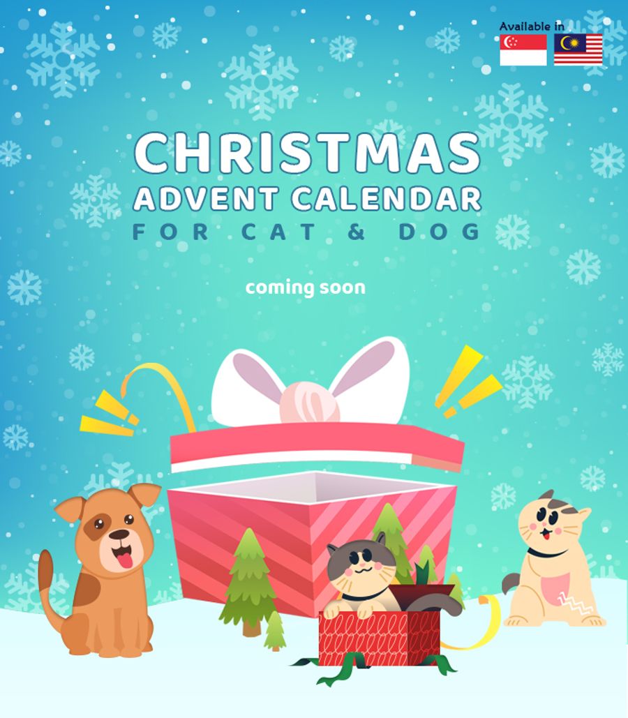 TAFFY BARKERY | 