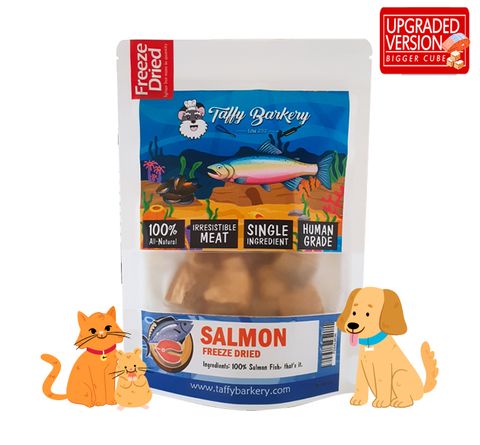 salmon upgraded version.jpg