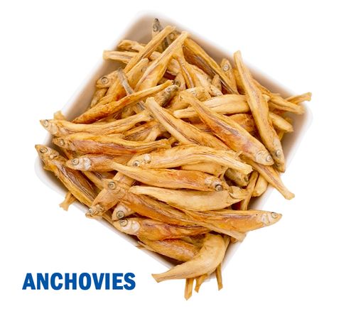 Anchovies in.jpg