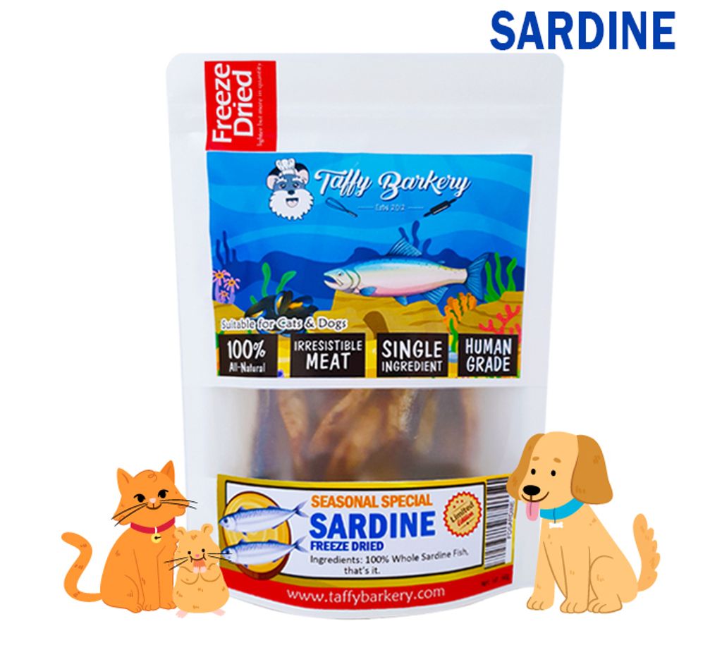 Sardine.jpg