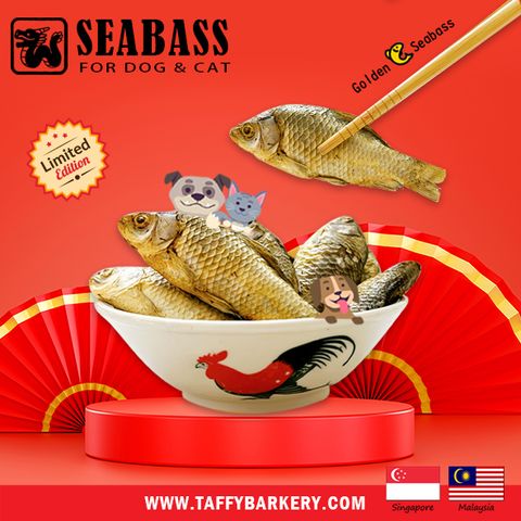 CNY 2024 seabass 2