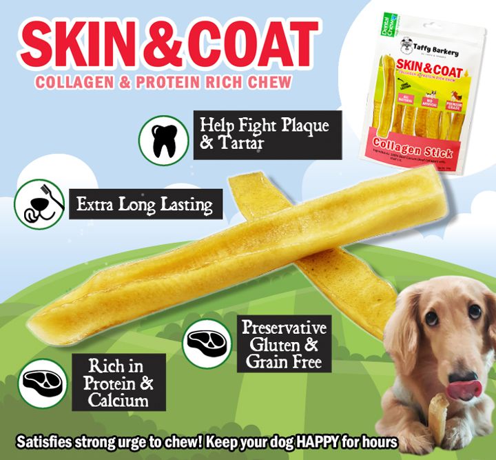 Collagen stick