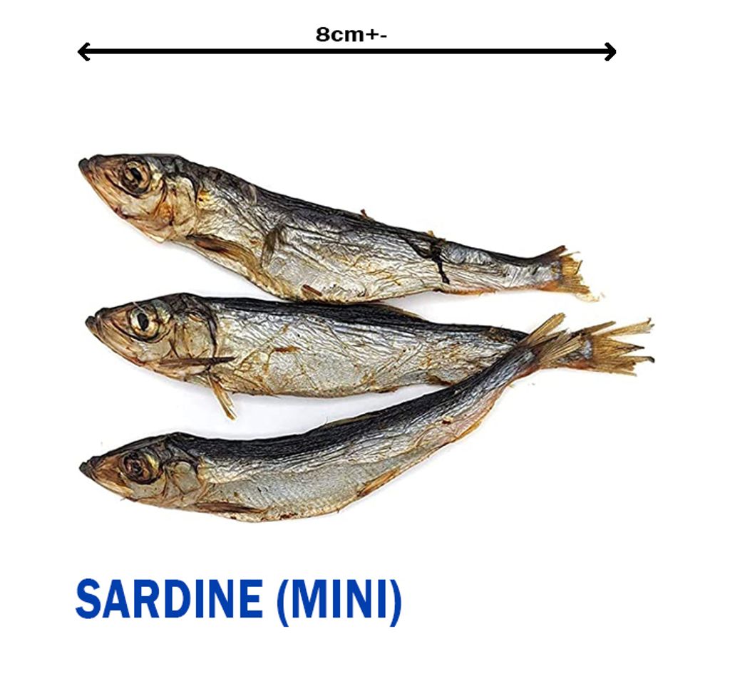 Sardine photo