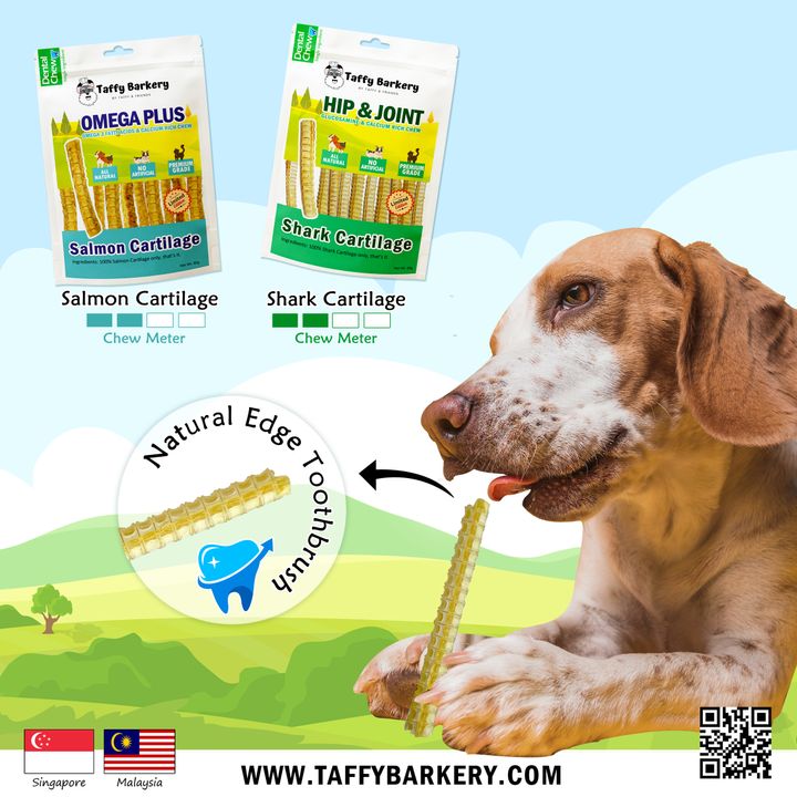 Dental Chew 2