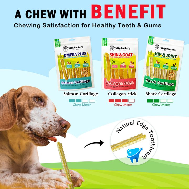 Dental Chew