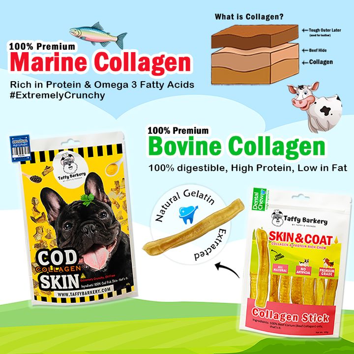 Collagen