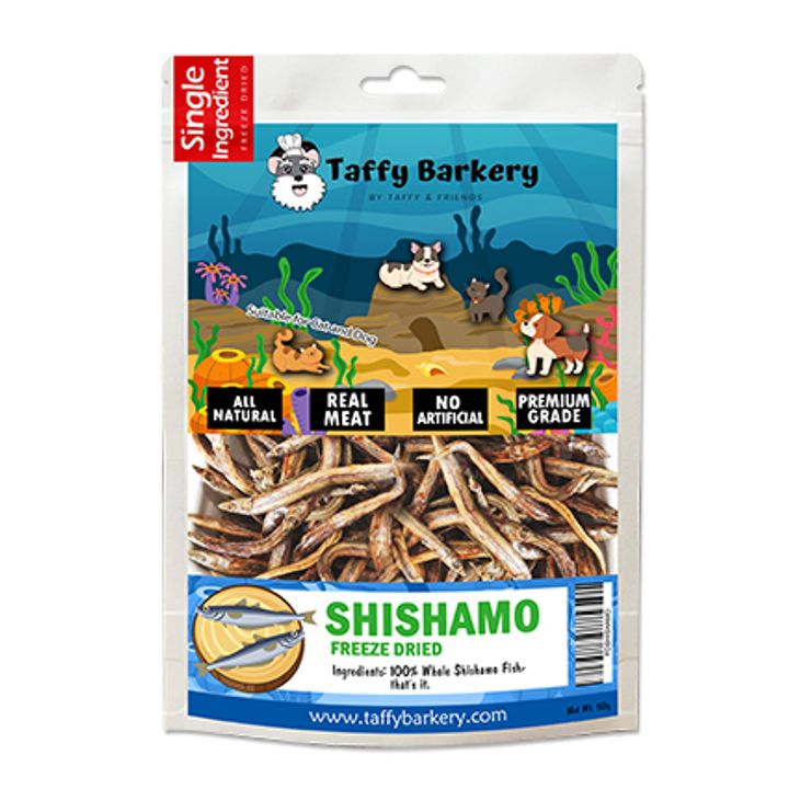 Baby Shishamo