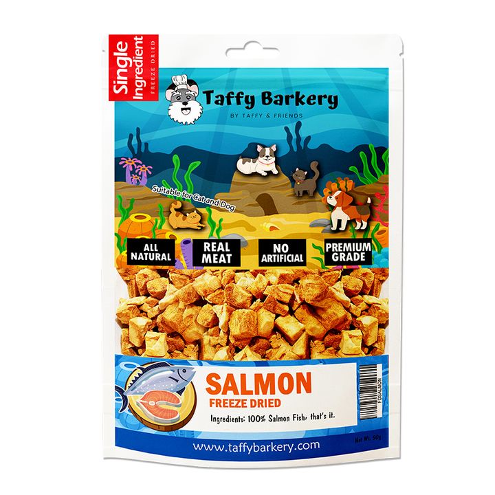 Salmon