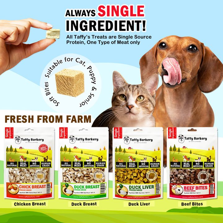 fresh from farm