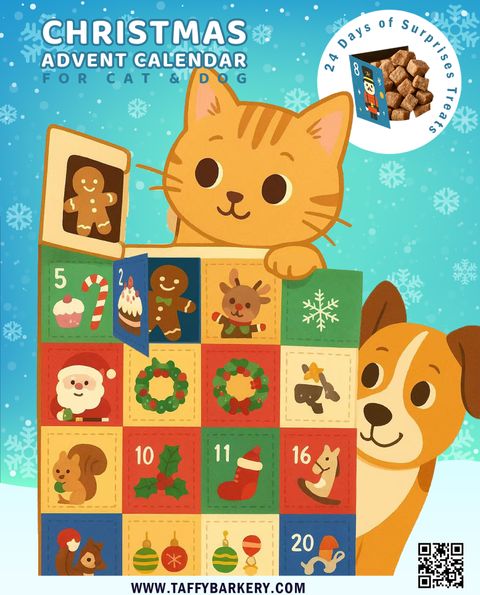IG XMAS 2025 cat & dog