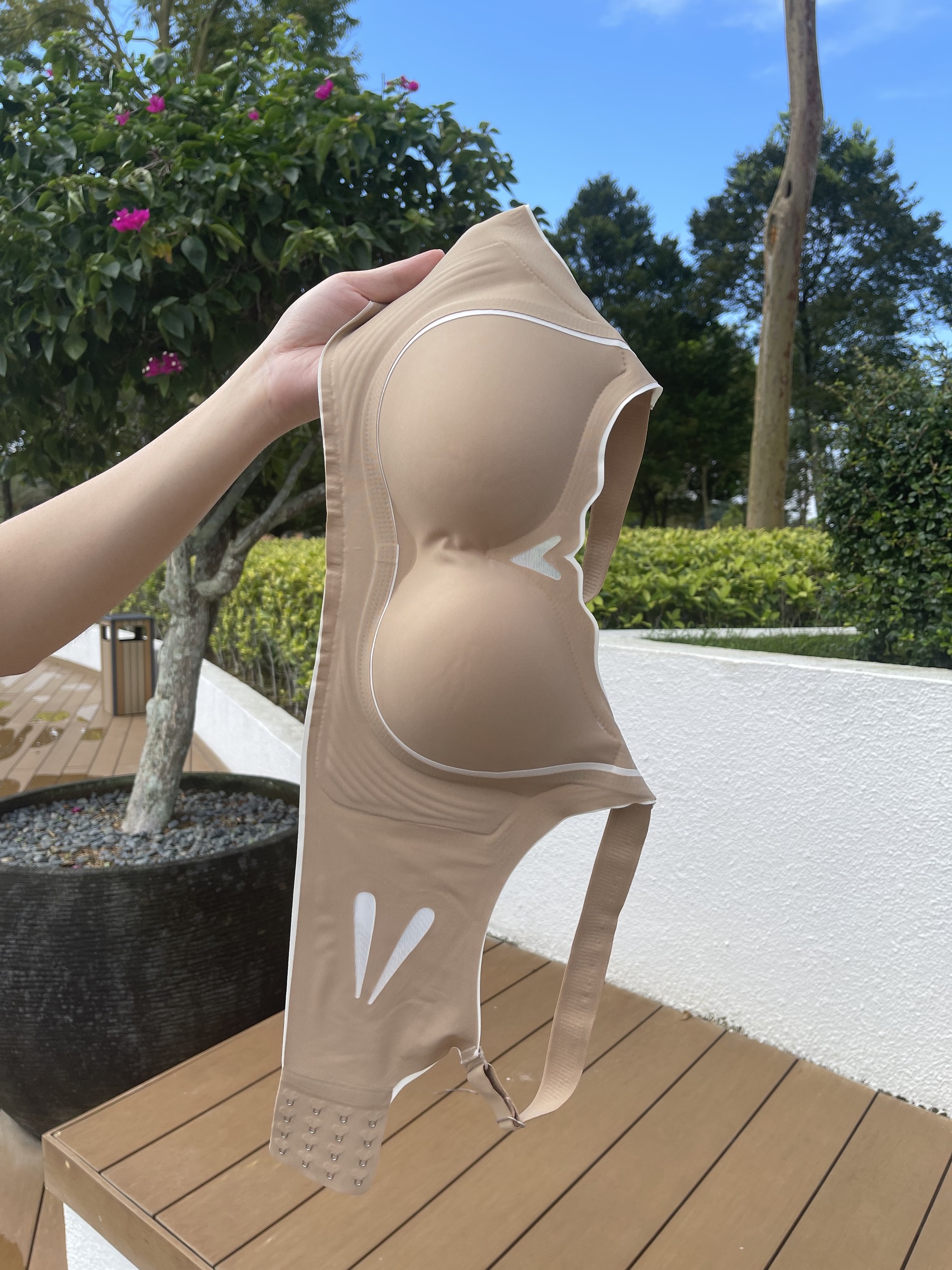 IMG_6453-1703041357853