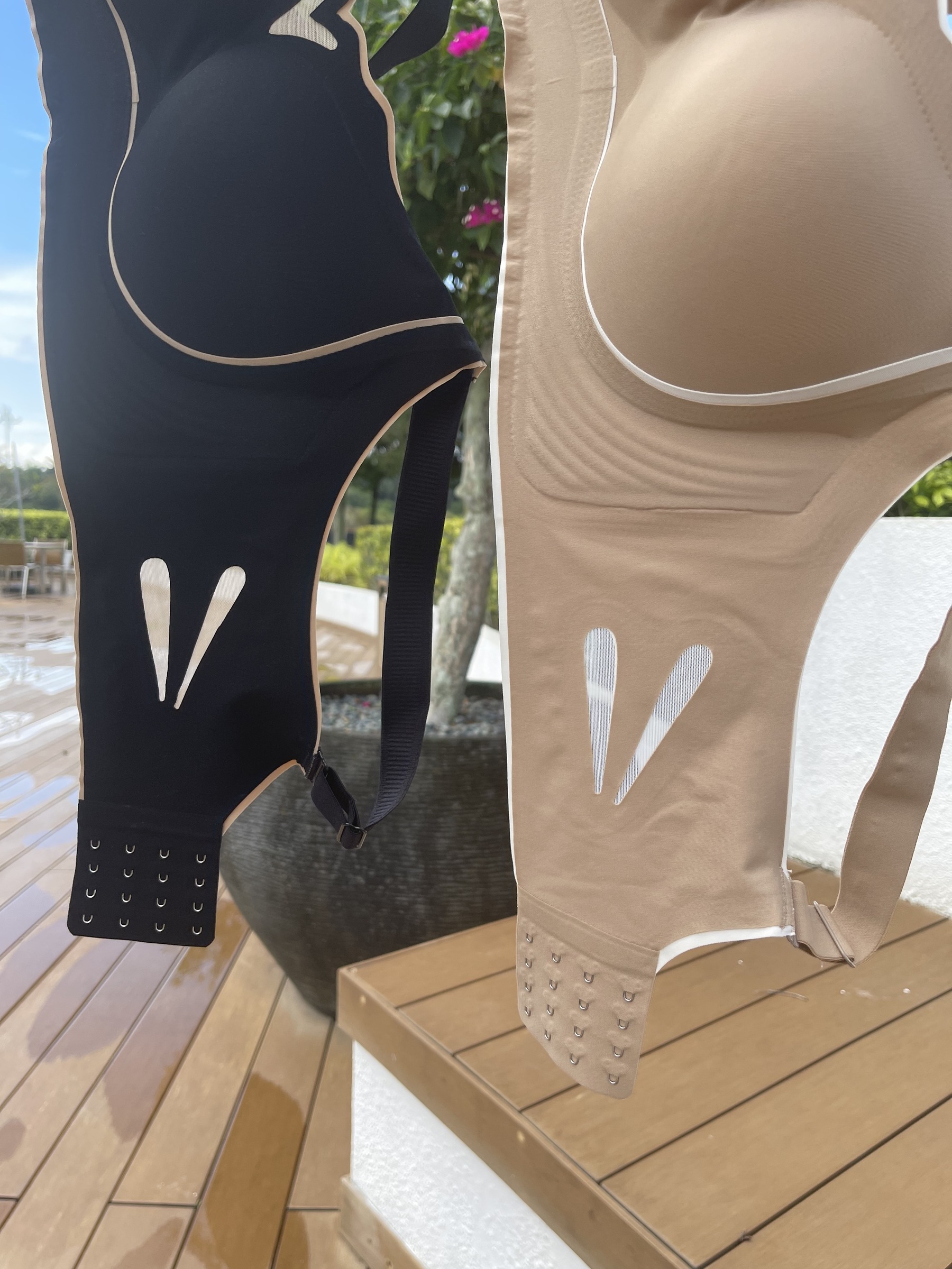 IMG_6447-1703041358976