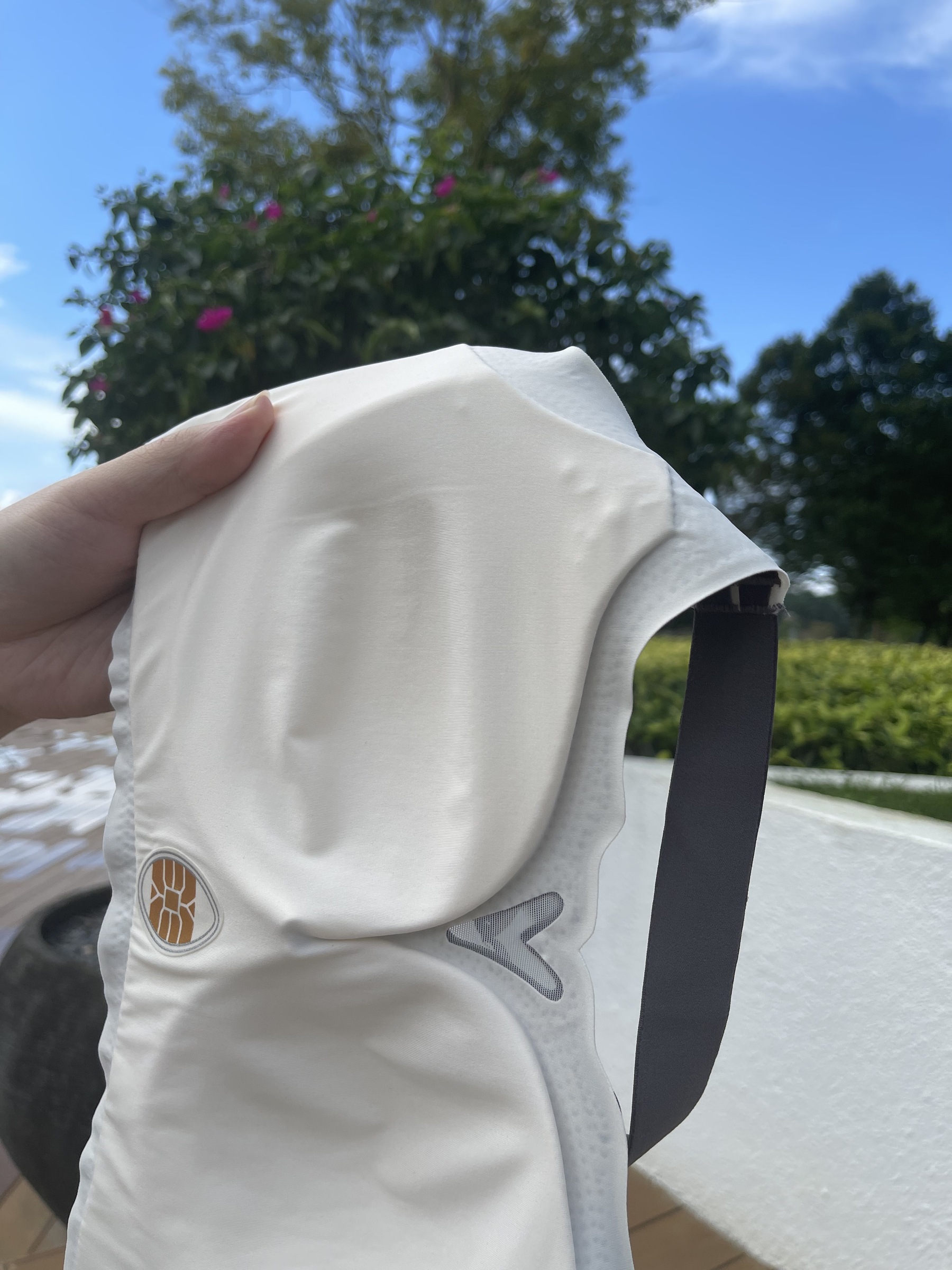 IMG_6464-1703041361222