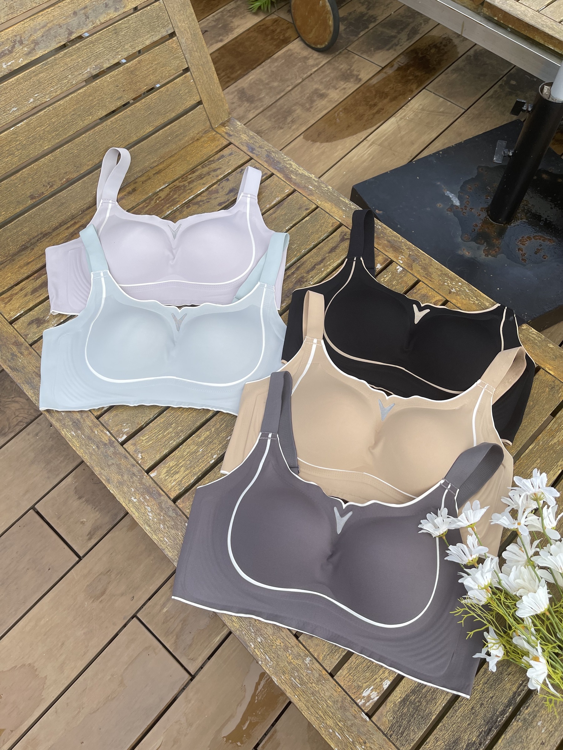 IMG_6477-1703041362657