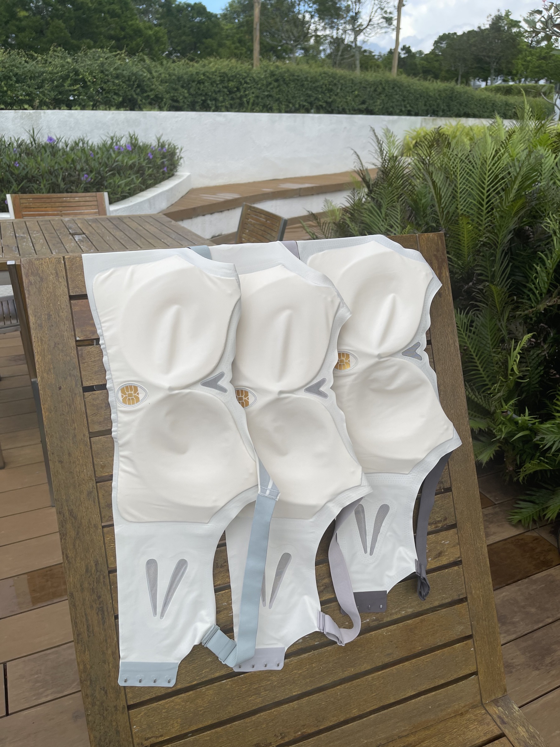 IMG_6484-1703041363081