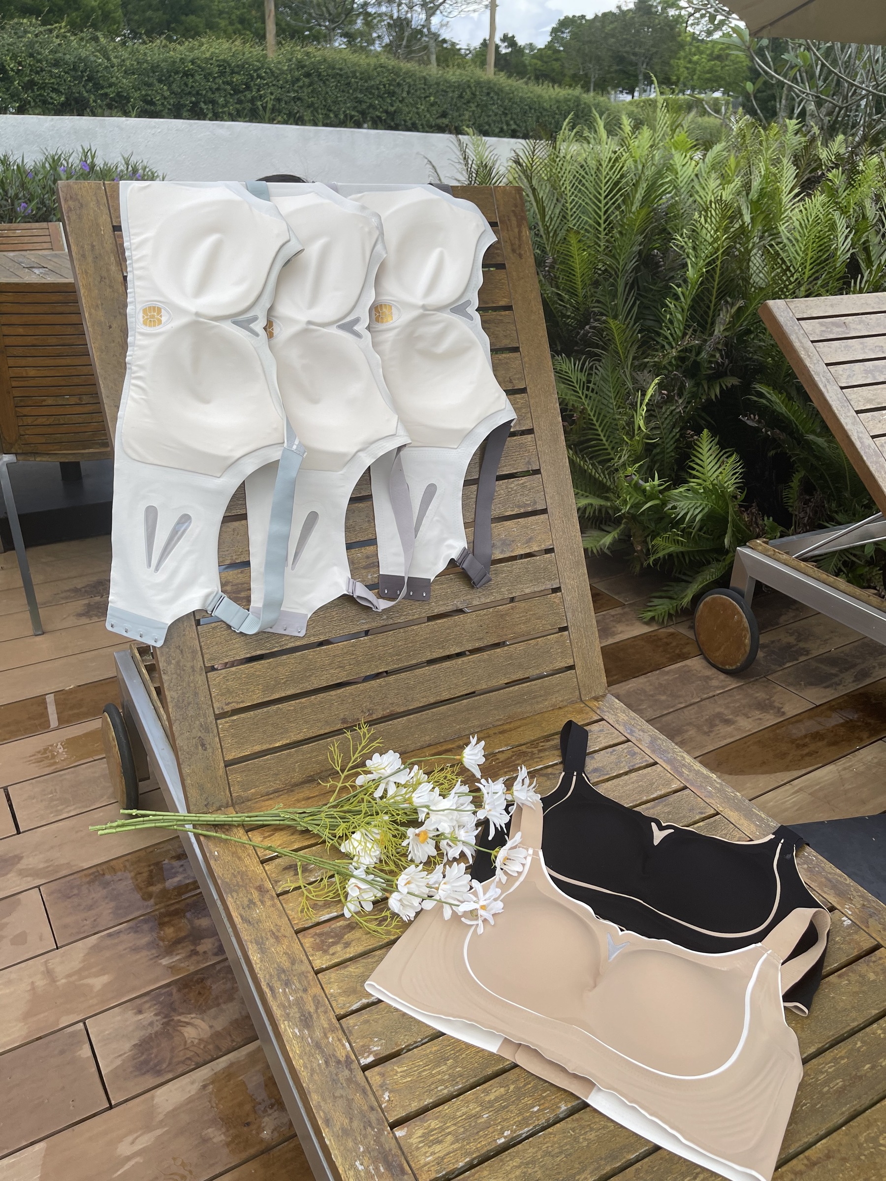 IMG_6488-1703041363460