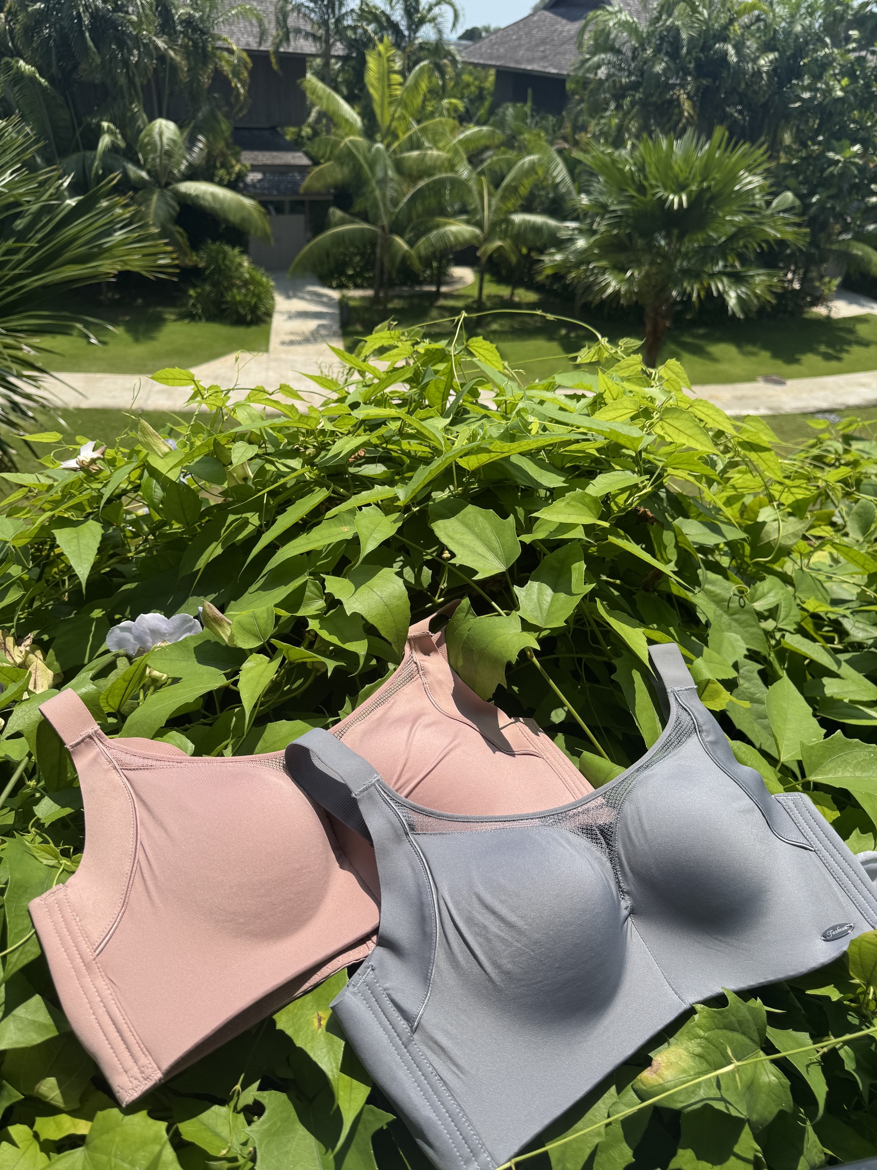 IMG_5376-1727085466914