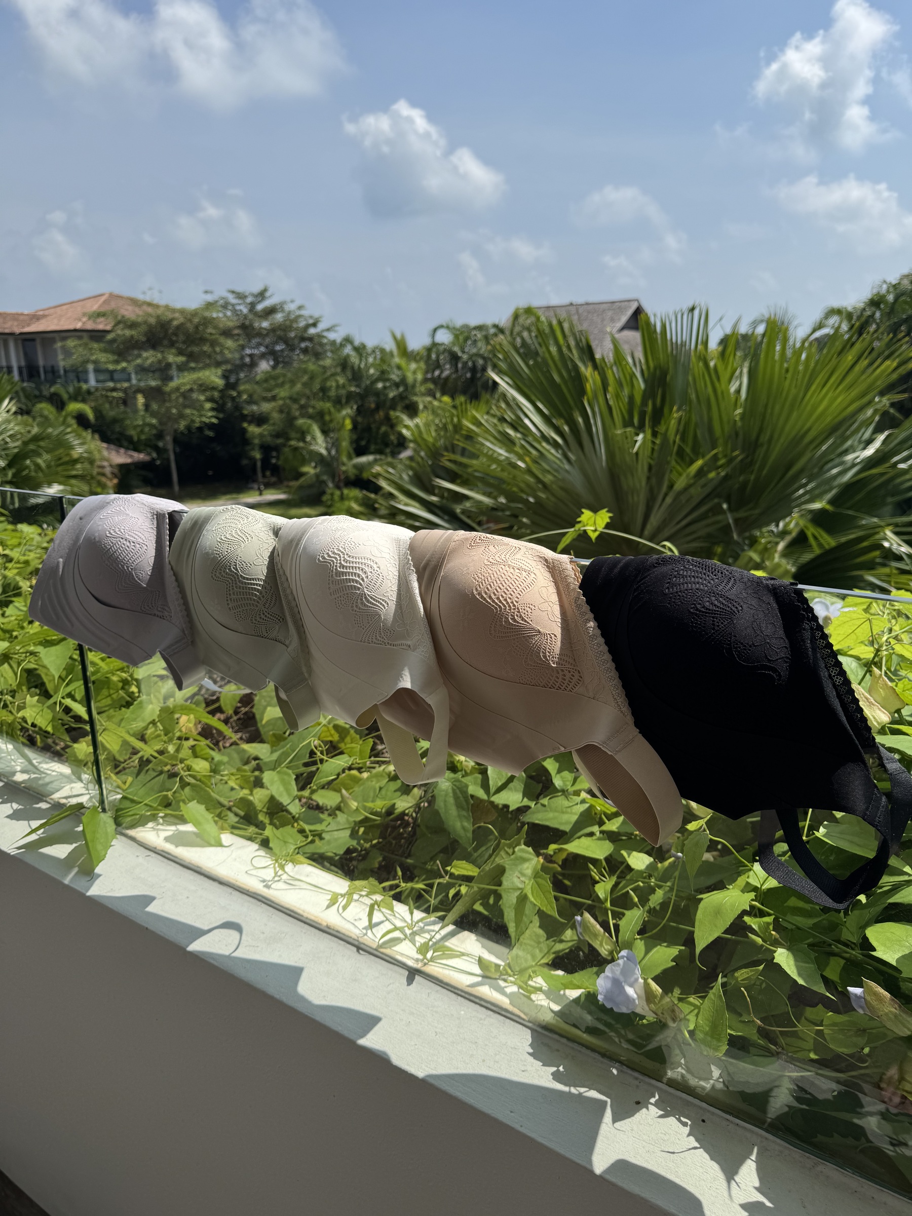 IMG_5306-1727085575015