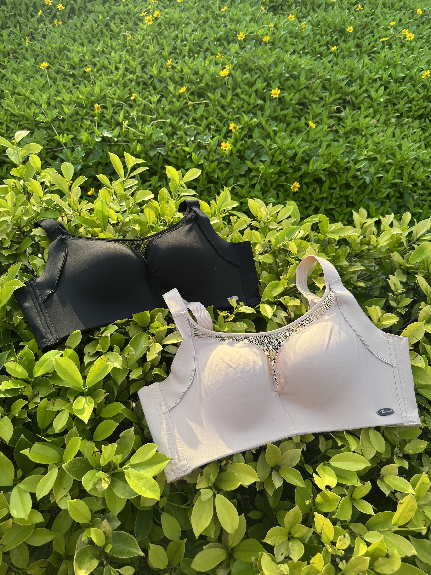 IMG_6058-1728887280027