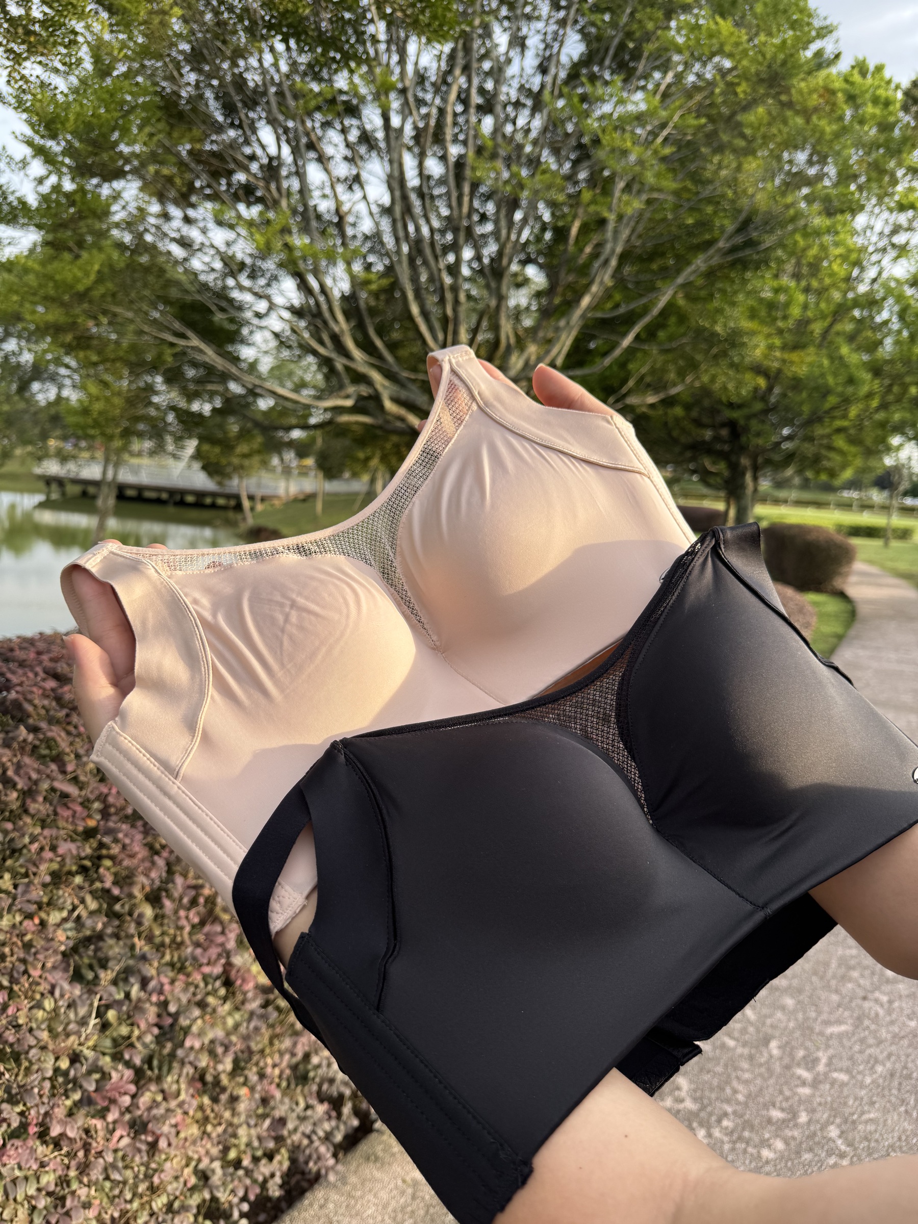 IMG_6038-1728887279905