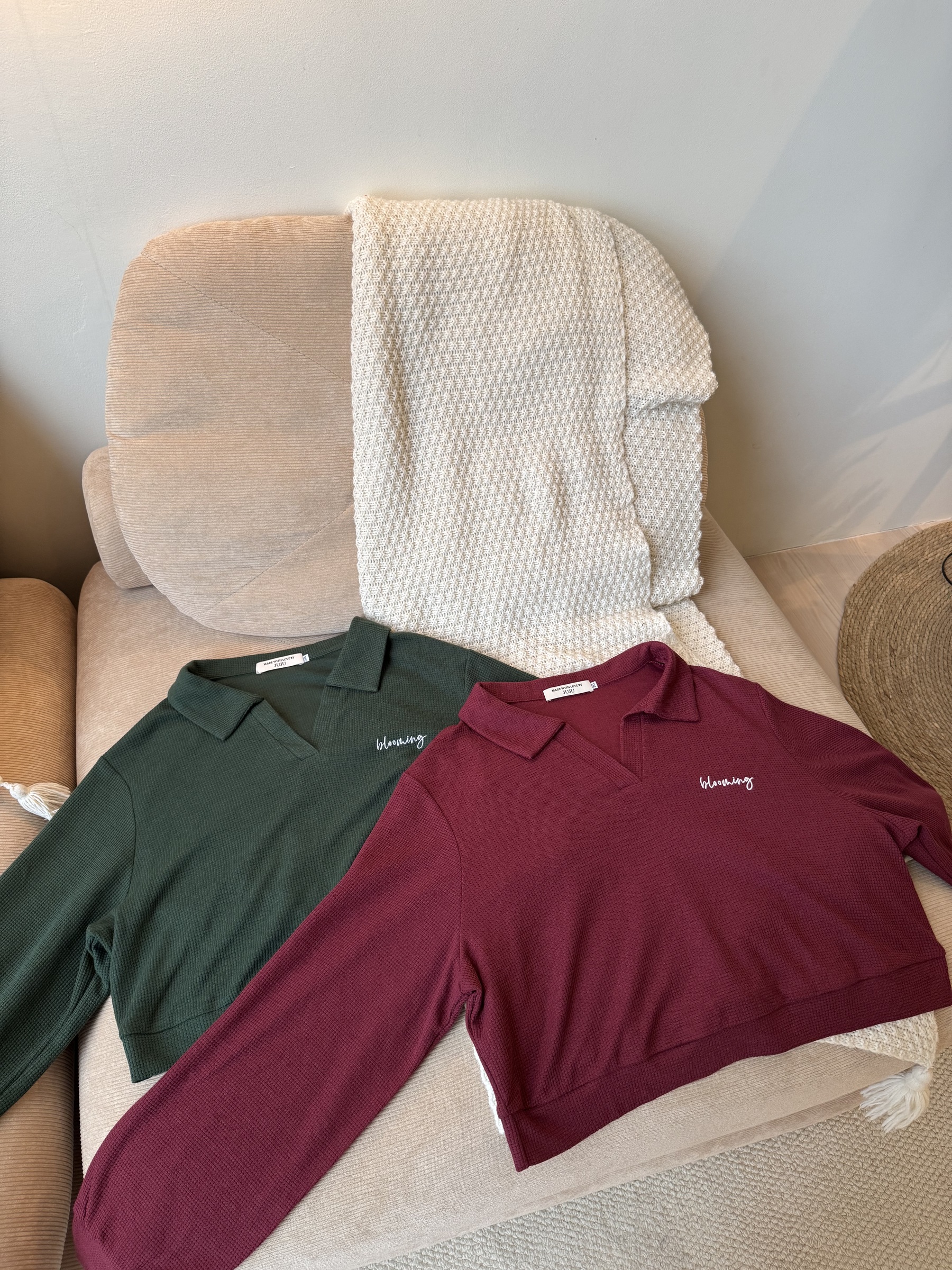 IMG_2964-1730278536007