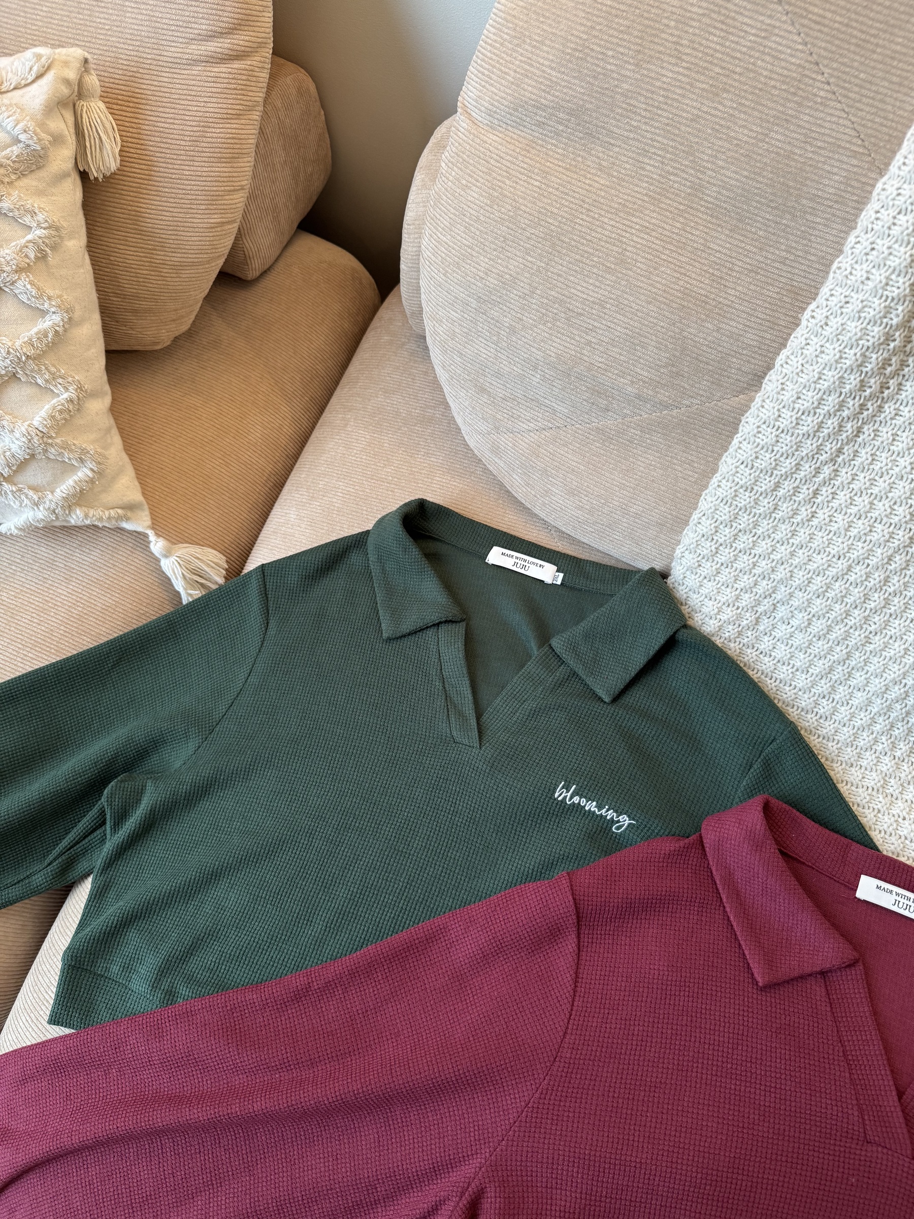 IMG_2971-1730278536417