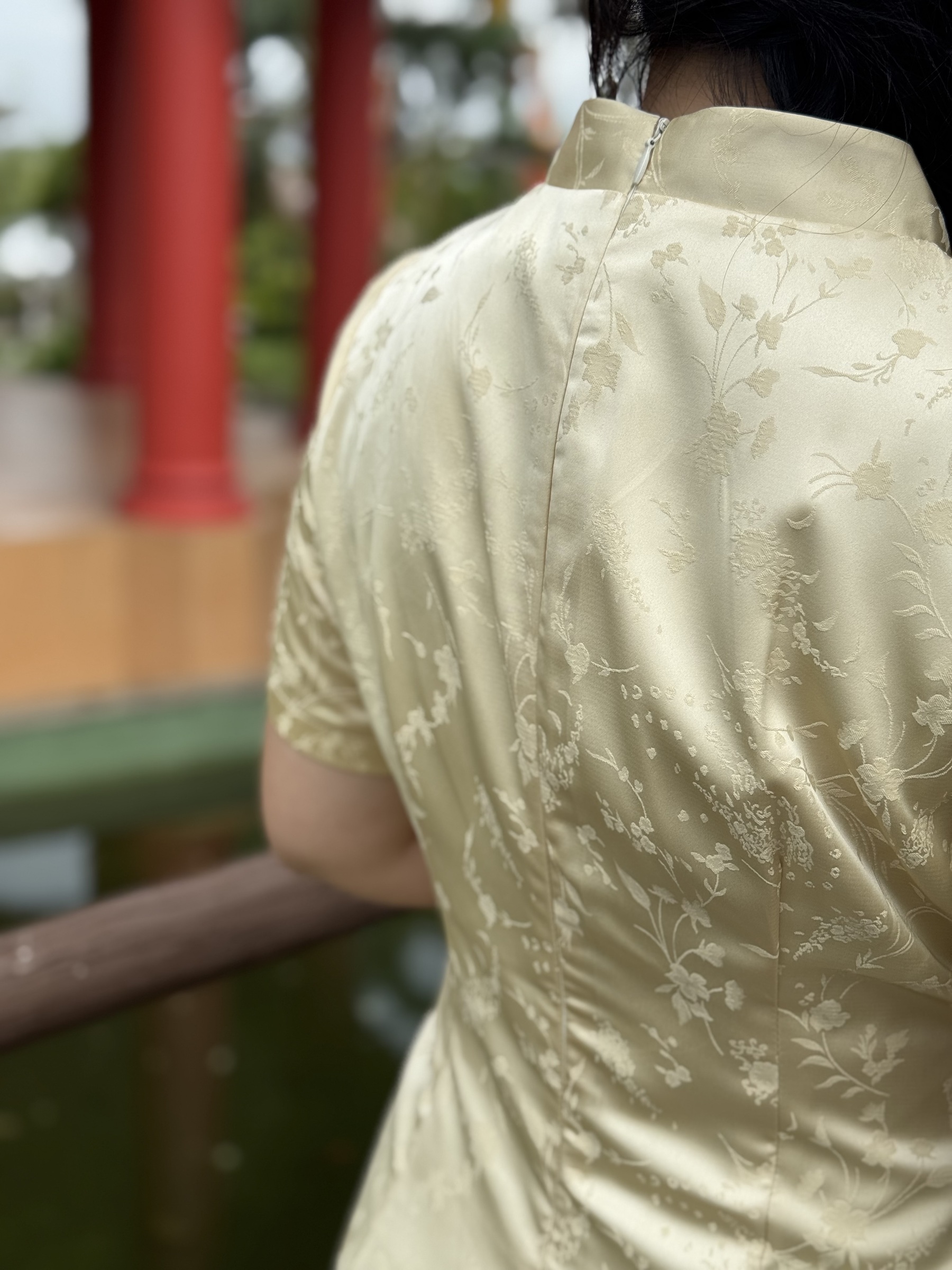 IMG_8555-1732460898492