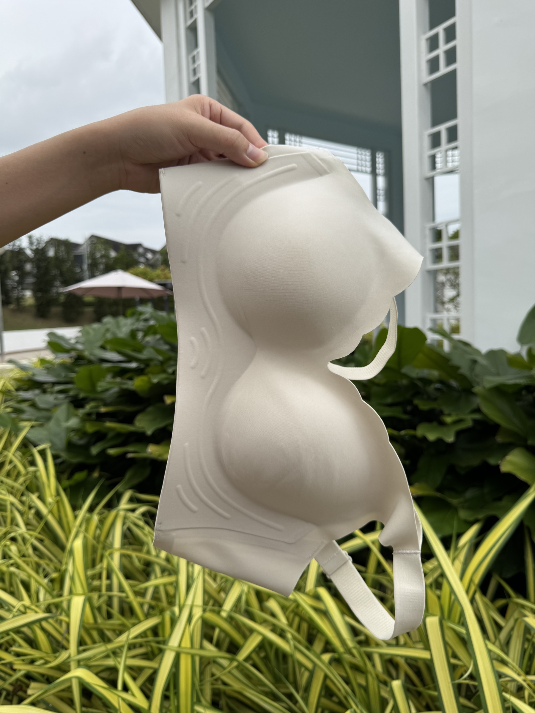 IMG_0333-1734100674273